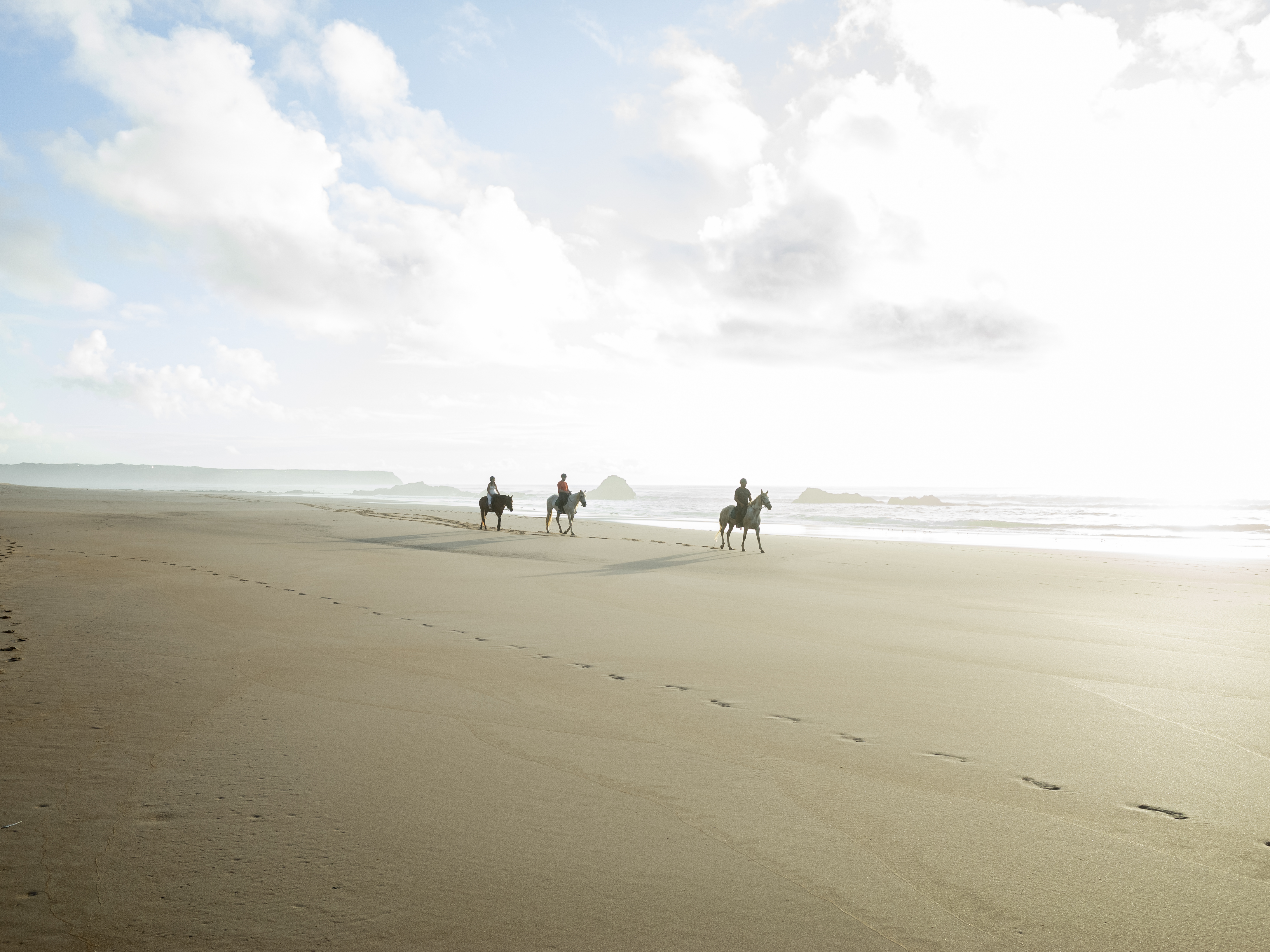 Alessio Righi Algarve Horses