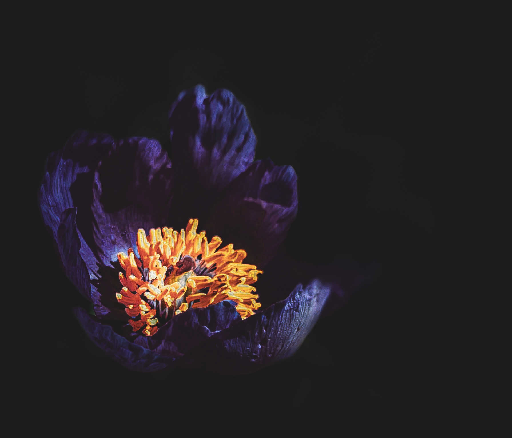 Embered Flame