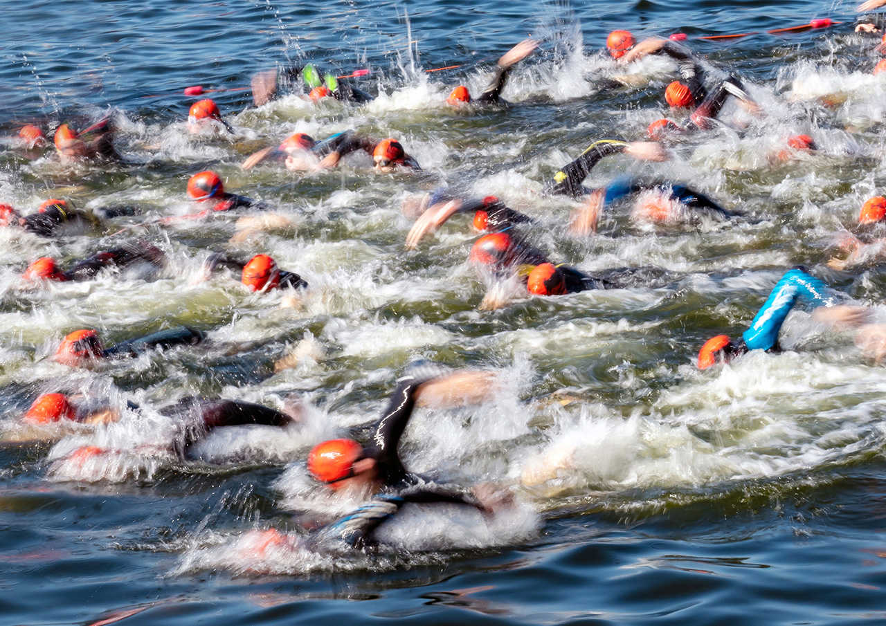Swimmers