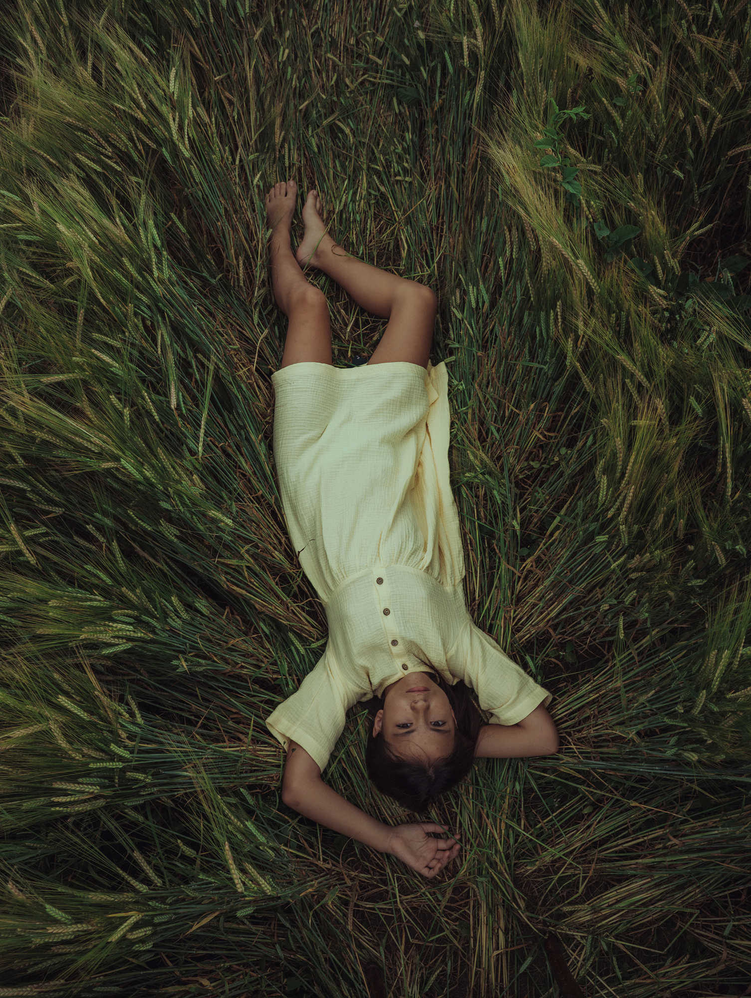 In the Embrace of the Summer Field