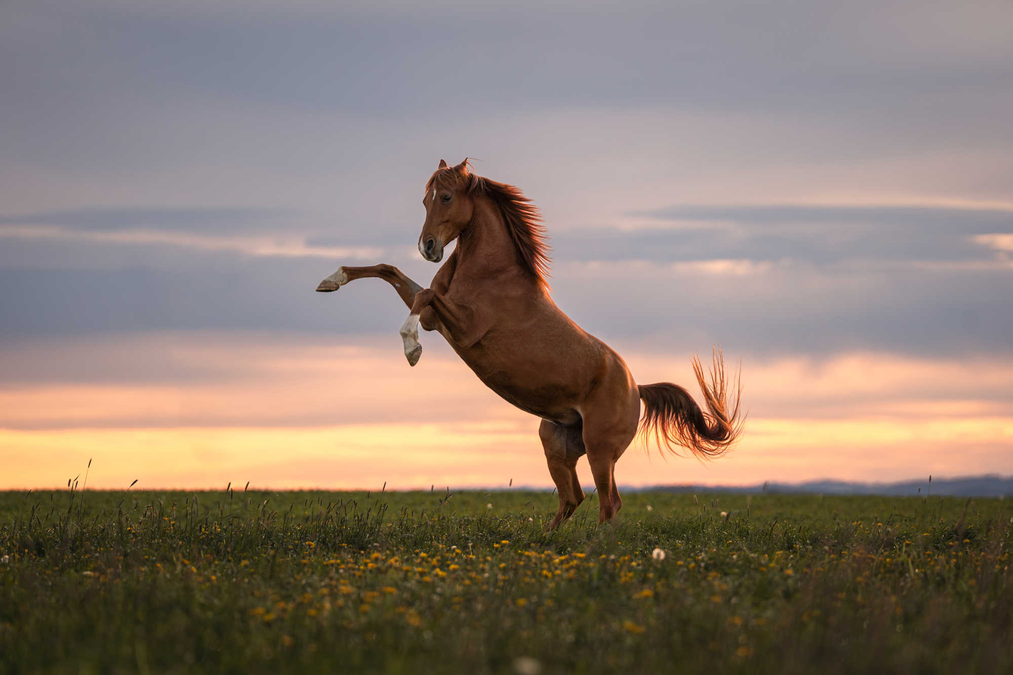 Feeling Free Feeling Free