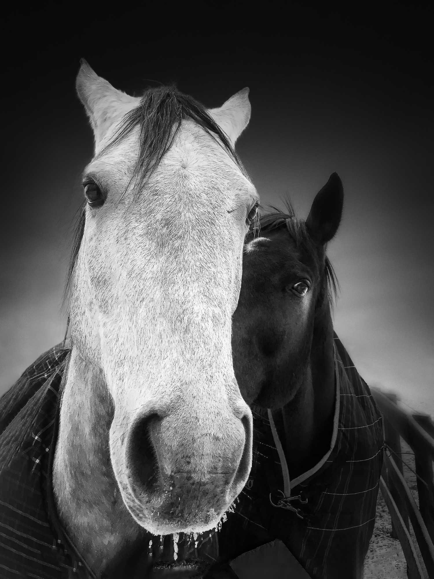 I m very attached to you my love.