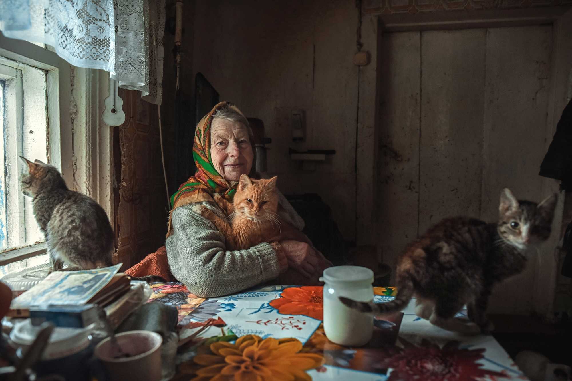 Надежда Яковлевна и ее кошки 90 лет