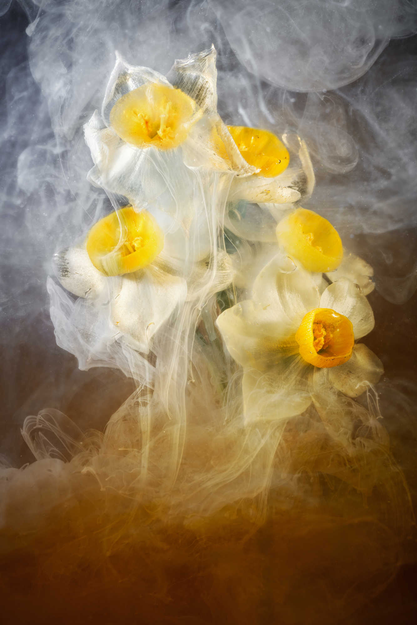 Blooming Through the Veil