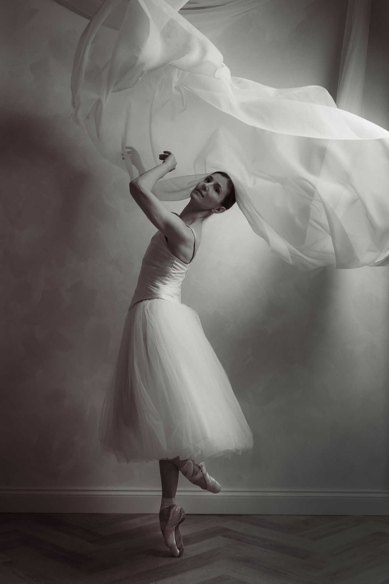 Wings of Silence with Alina Cojocaru