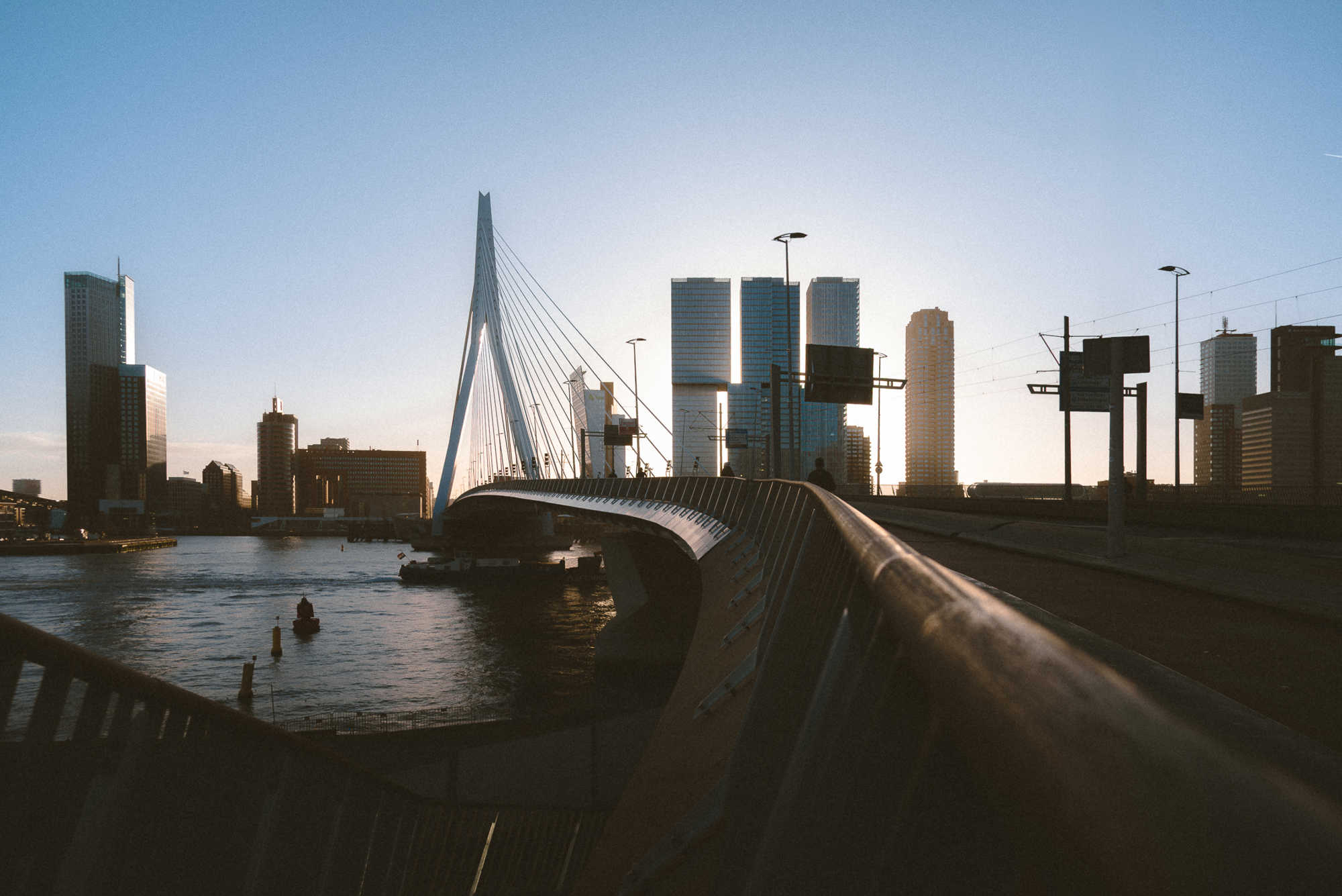 De rotterdam