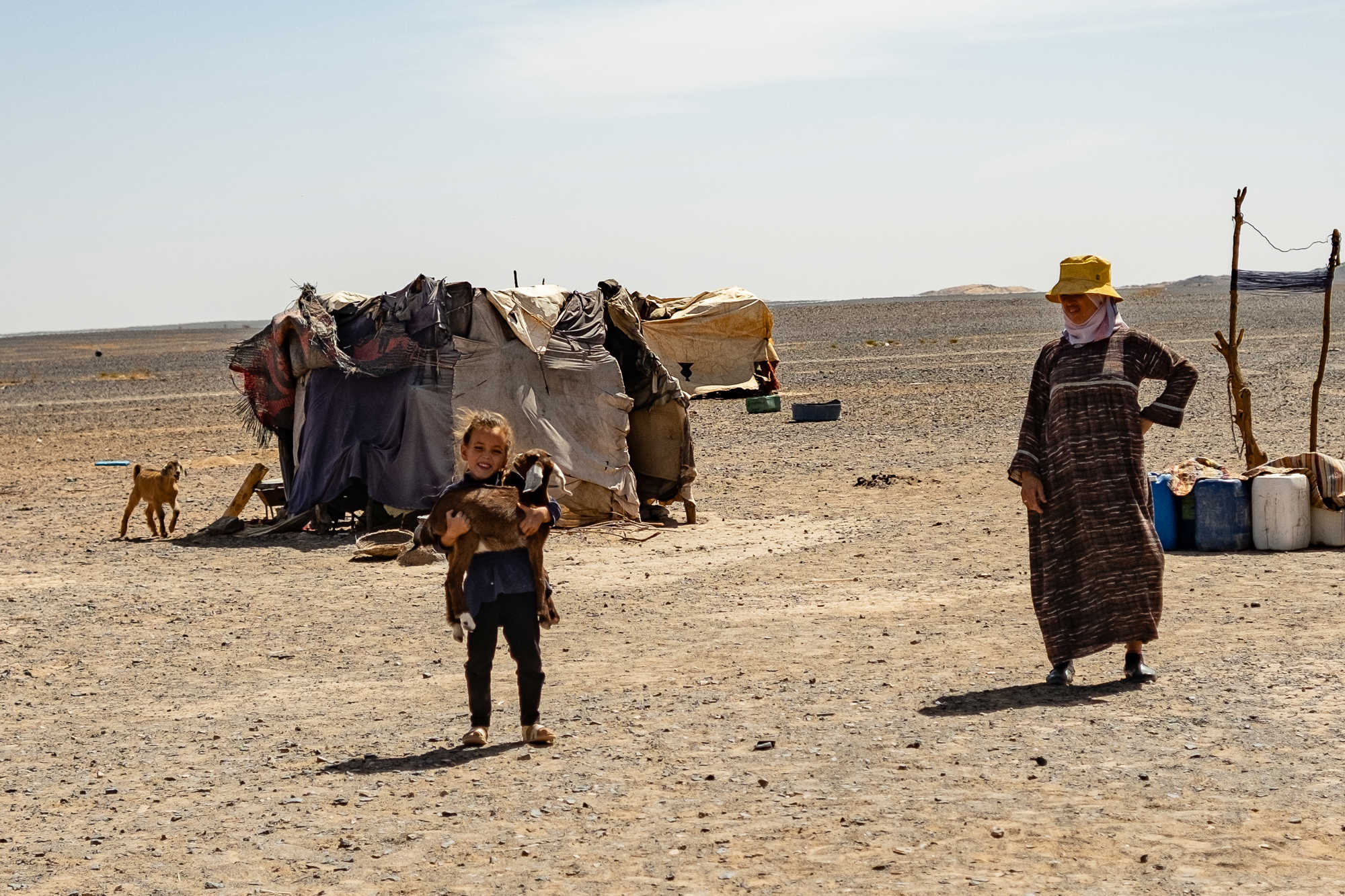Nomads of Sahara 