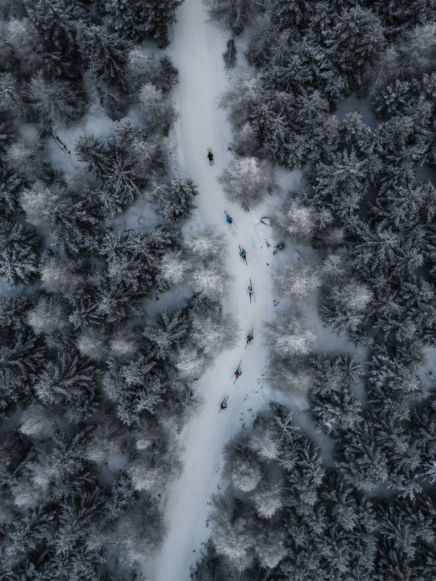 The Line