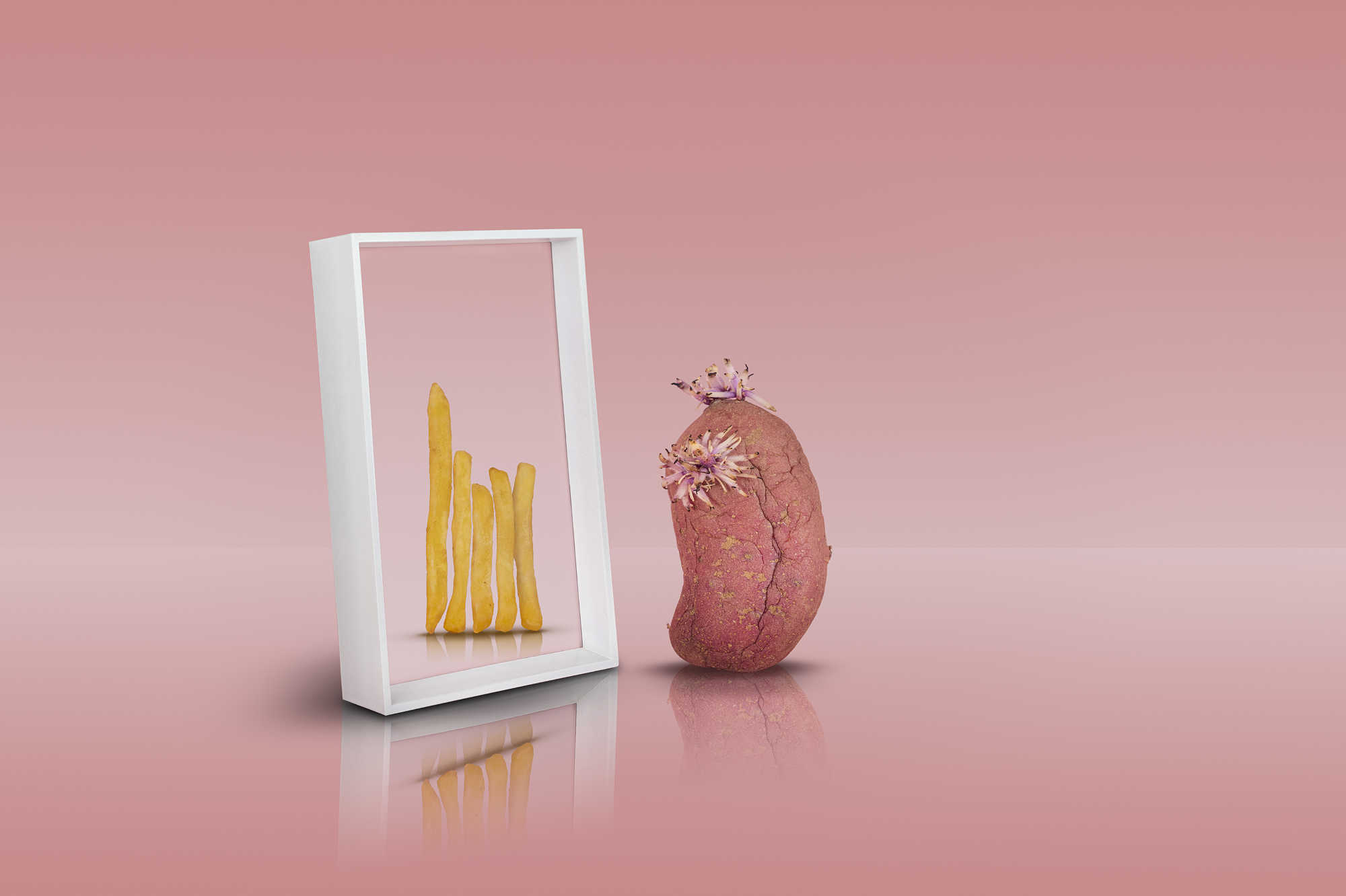 Mirror, mirror on the wall.