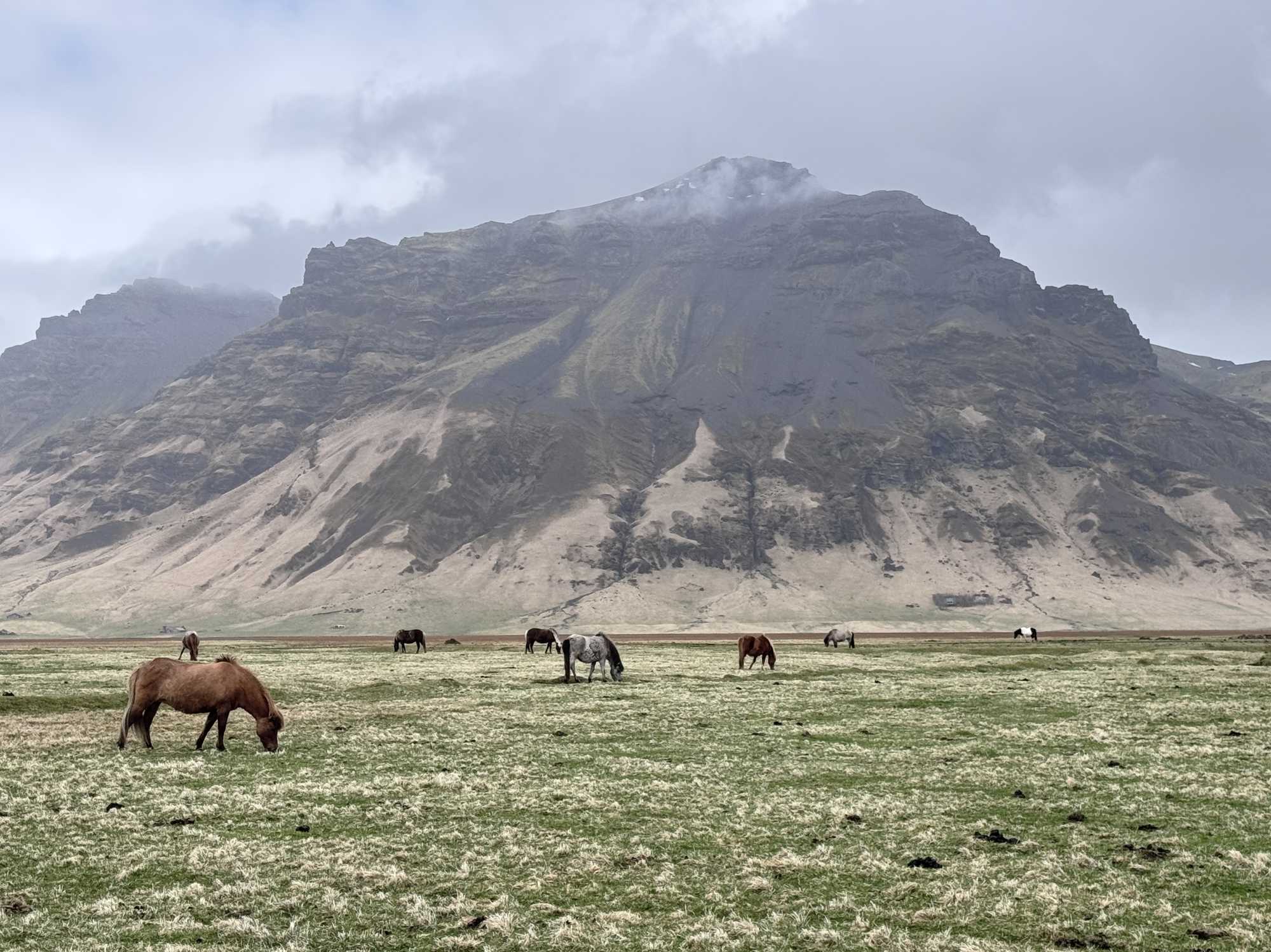 Islande 🇮🇸 