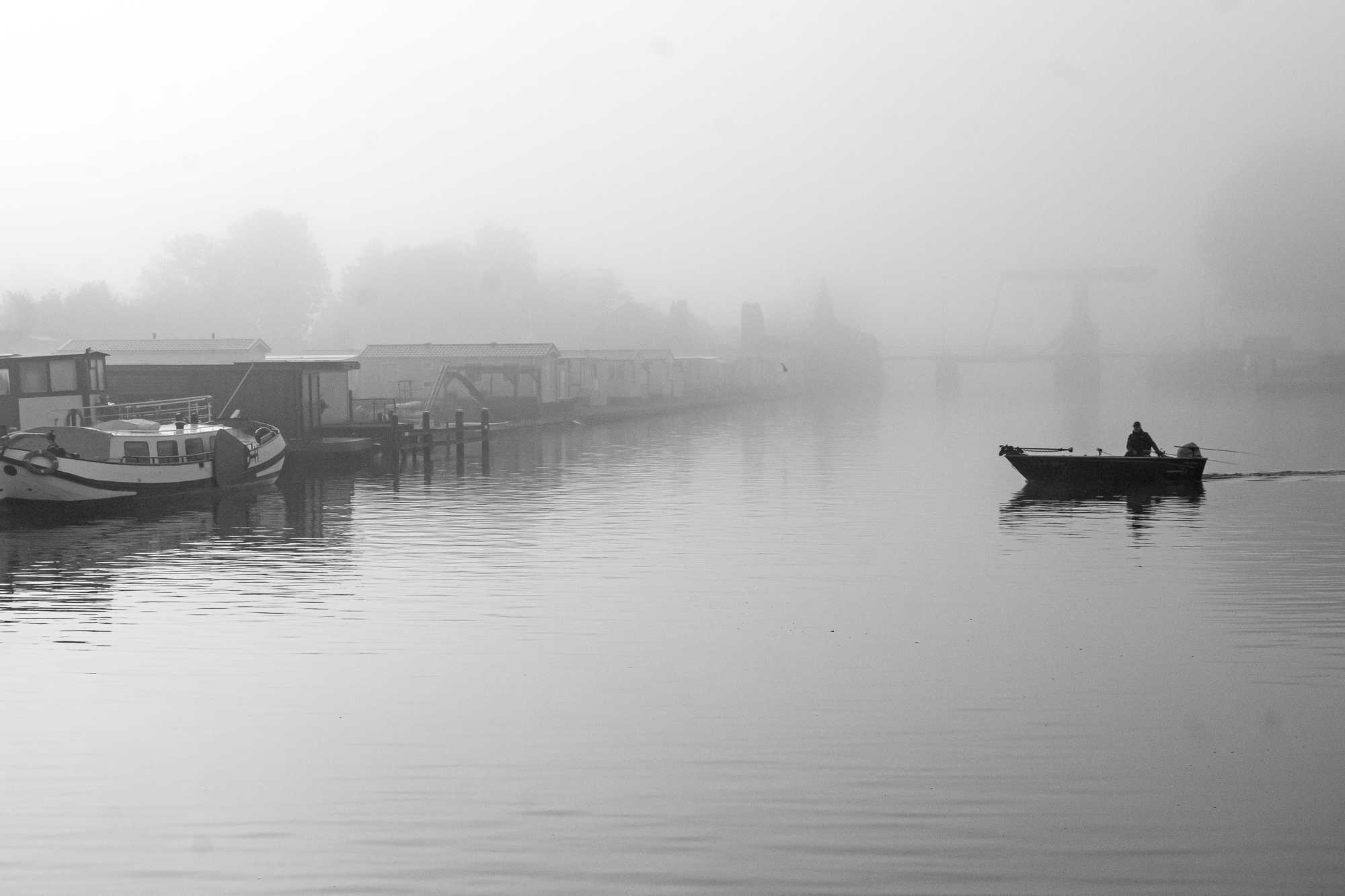 in the fog and in the silence