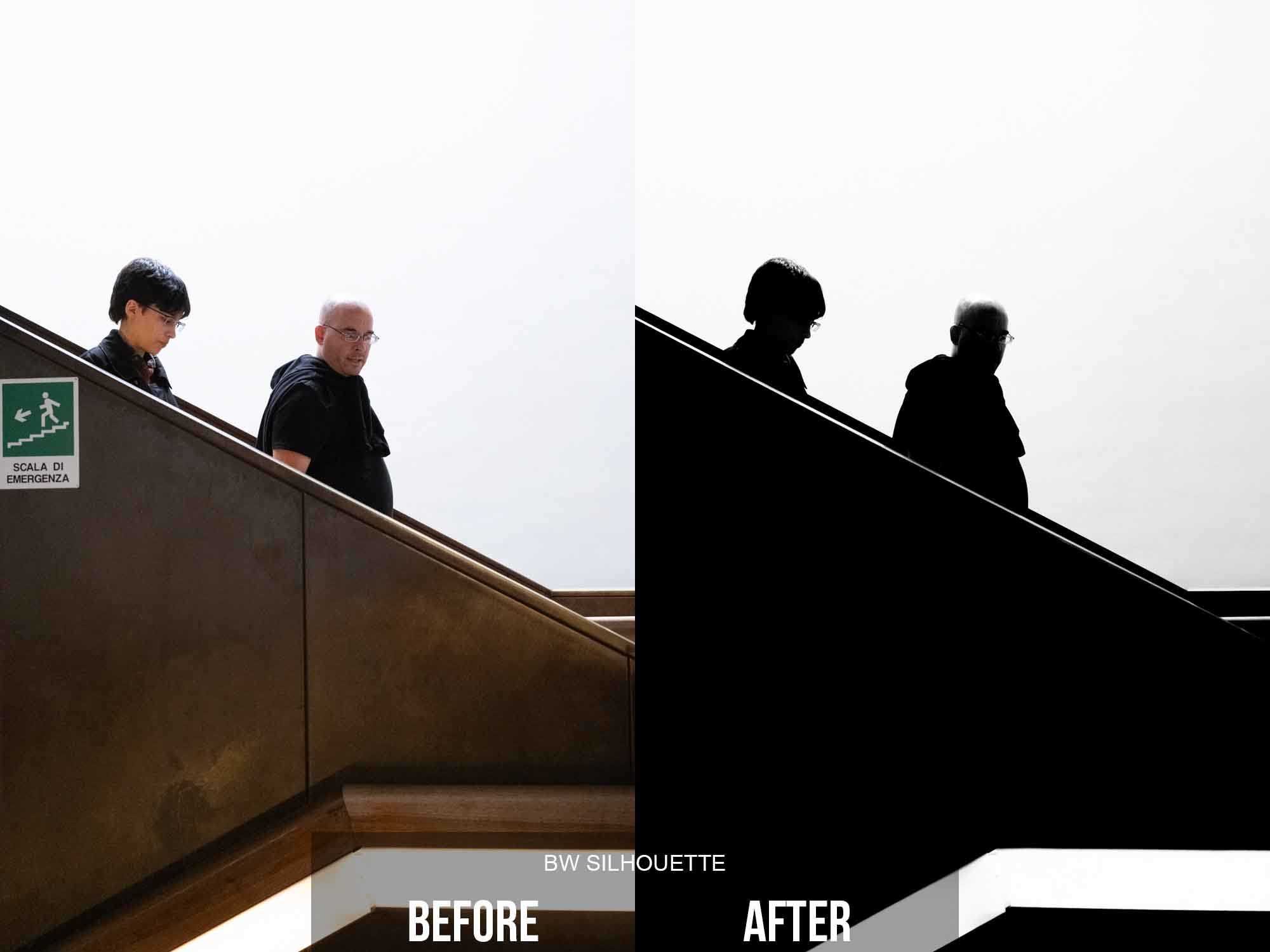 BW Silhouette TPA Preset Before and After