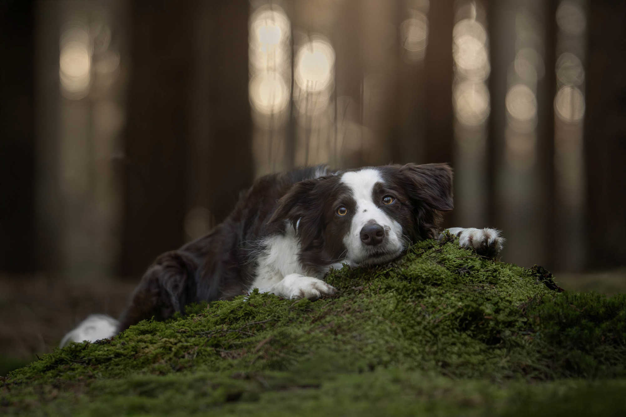 Featured photographer Claudia van Berkel