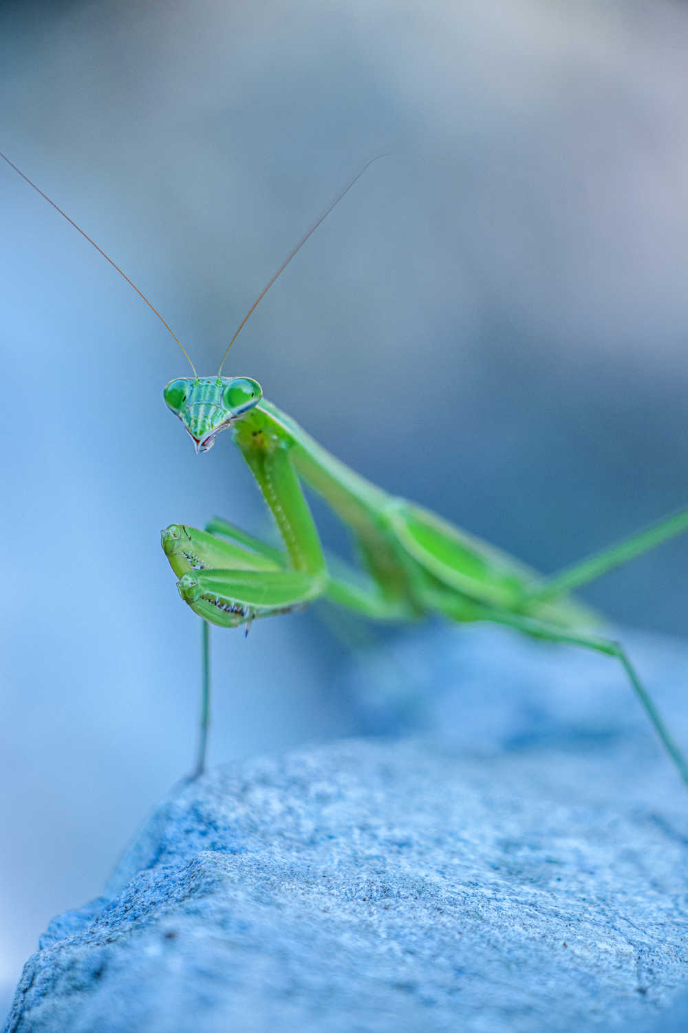 Featured photographer Sanjay Chakravorty 
