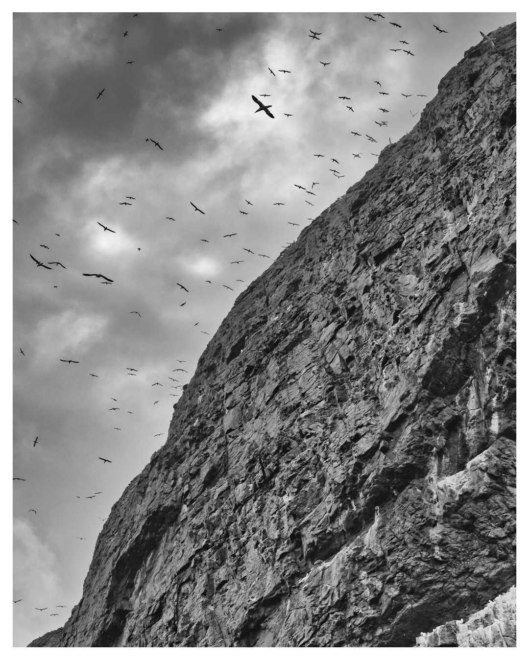 Isle of Boreray