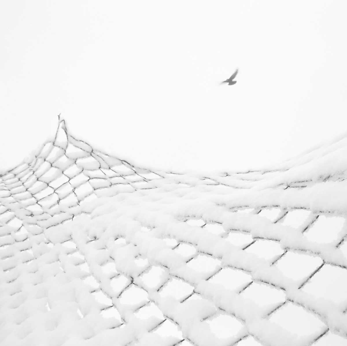 Photography by Mostafa Nodeh