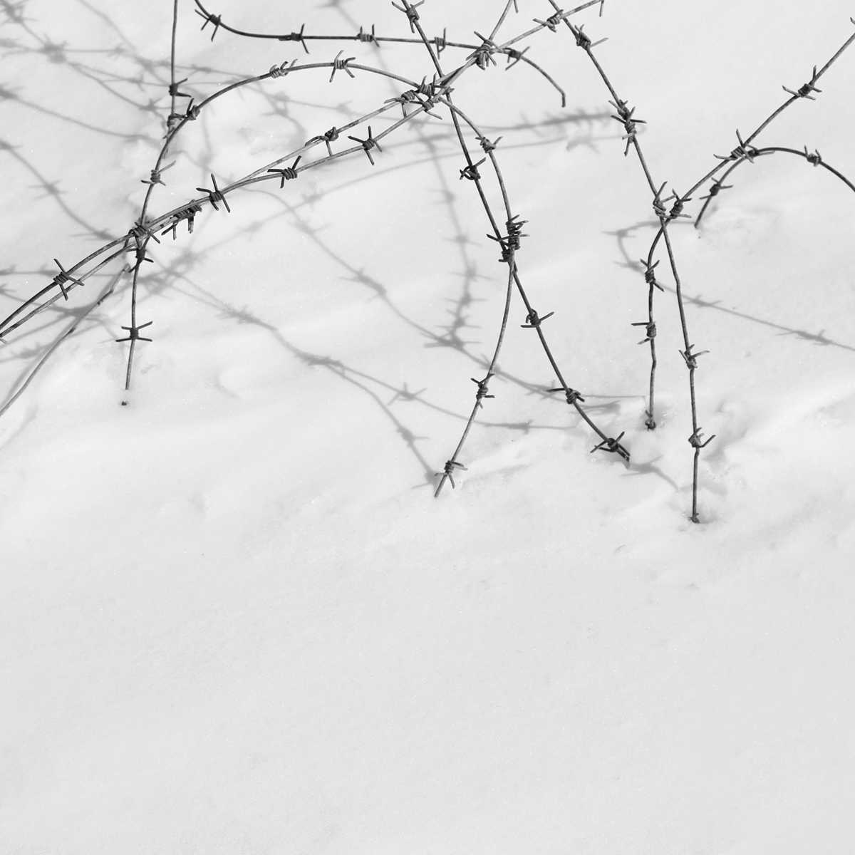 Conceptual photography from the FREEDOM series by Mostafa Nodeh
