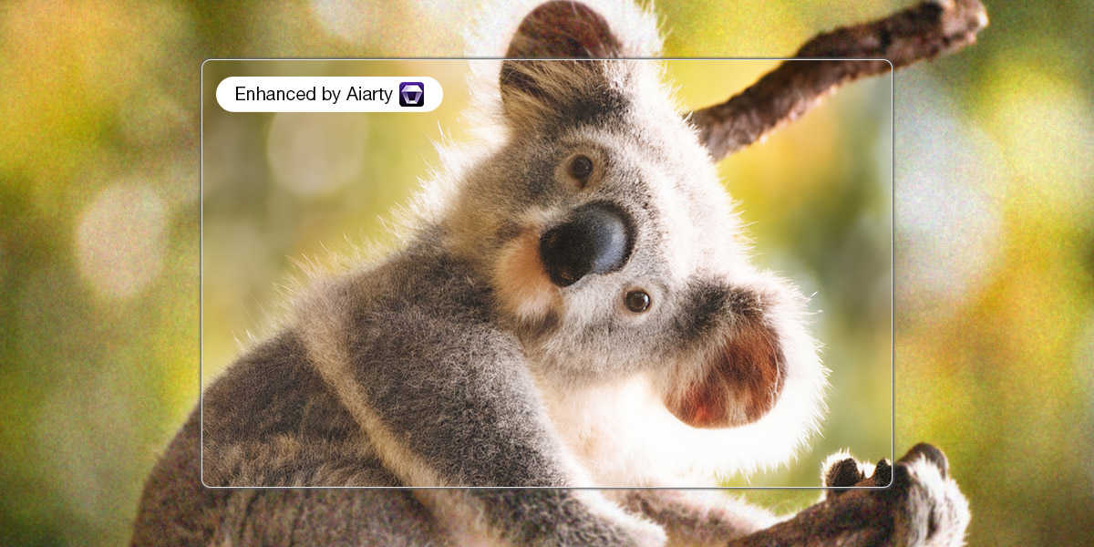 Aiarty Image Enhancer for photographers