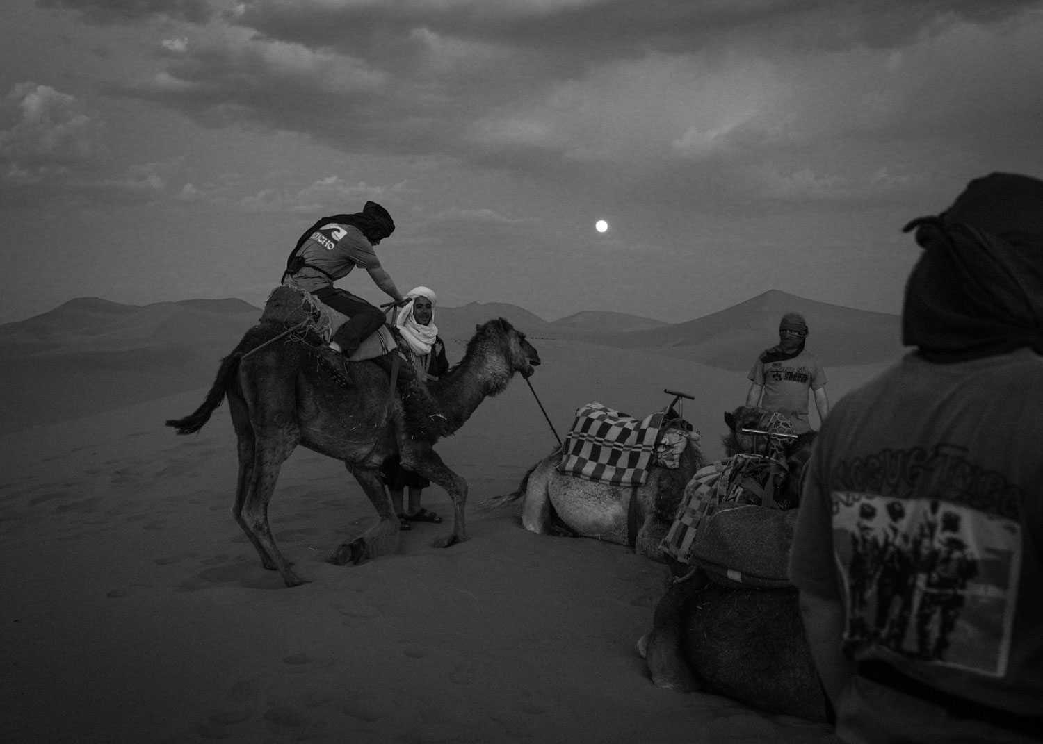 The Caravan, Sahara Desert photography by Mark Tytell