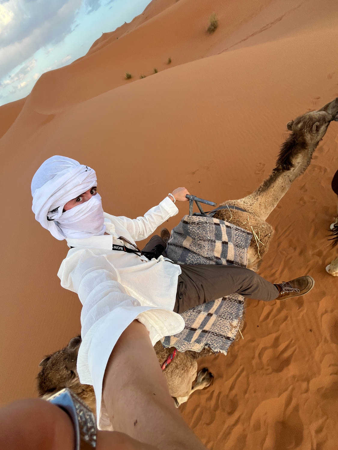 Mark Tytell traveling in the Sahara Desert