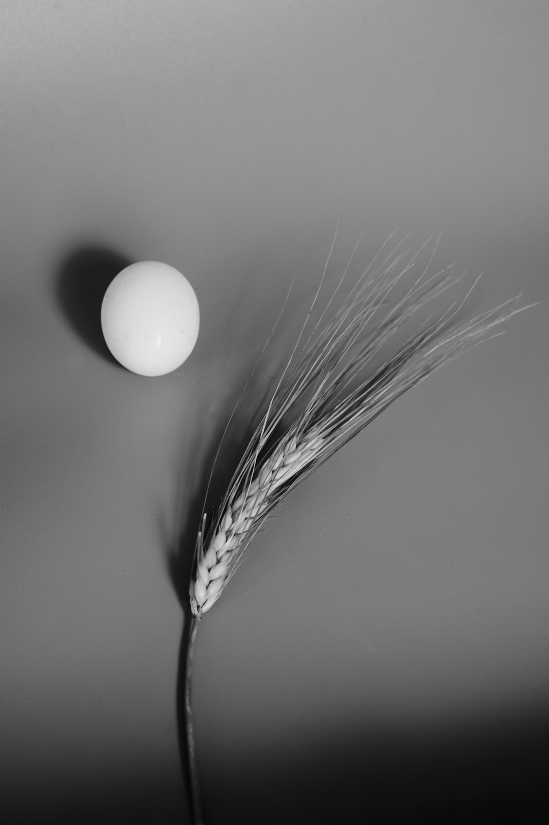 Two beginnings suspended in silence.