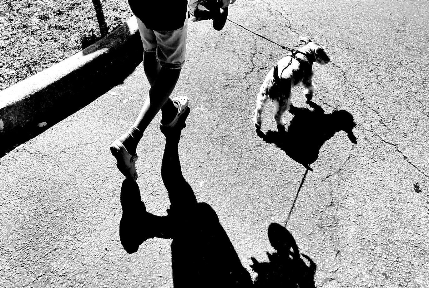 A walk with a friend 